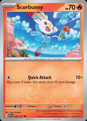 Meg - ASC - 36 - Scorbunny - COMMON - Normal