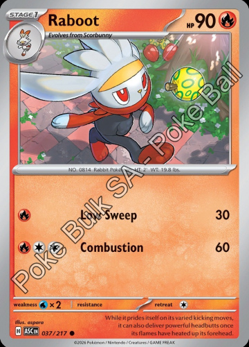 Meg - ASC - 37 - Raboot - COMMON - Friend Ball