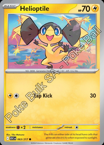 Meg - ASC - 63 - Helioptile - COMMON - Quick Ball