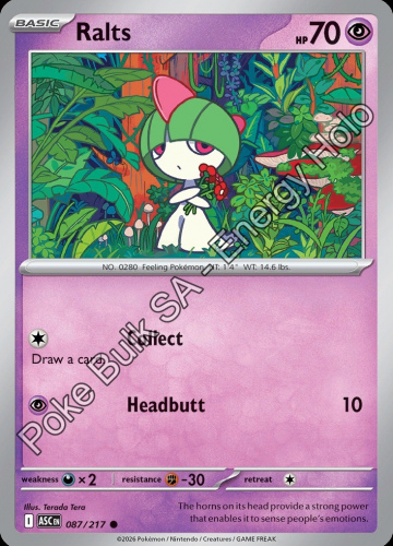 Meg - ASC - 87 - Ralts - COMMON - Energy Holo