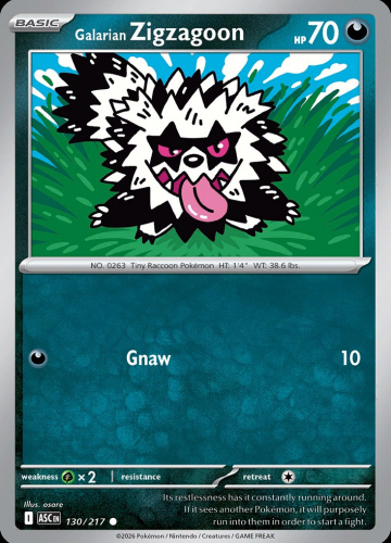 Meg - ASC - 130 - Galarian Zigzagoon - COMMON - Normal