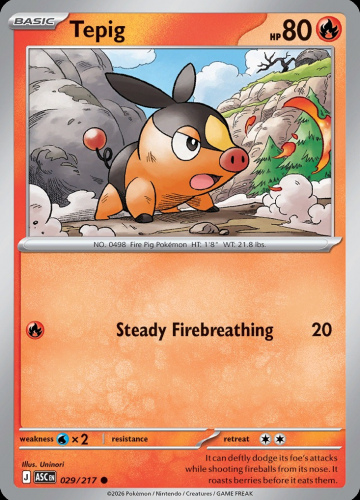 Meg - ASC - 29 - Tepig - COMMON - Normal